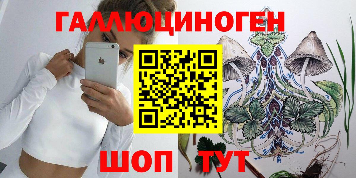 закладка  Псилоцибиновые грибы GOLDEN TEACHER  Сосновоборск  Вход с VPN  Галлюциногенные грибы Psilocybine cubensis 